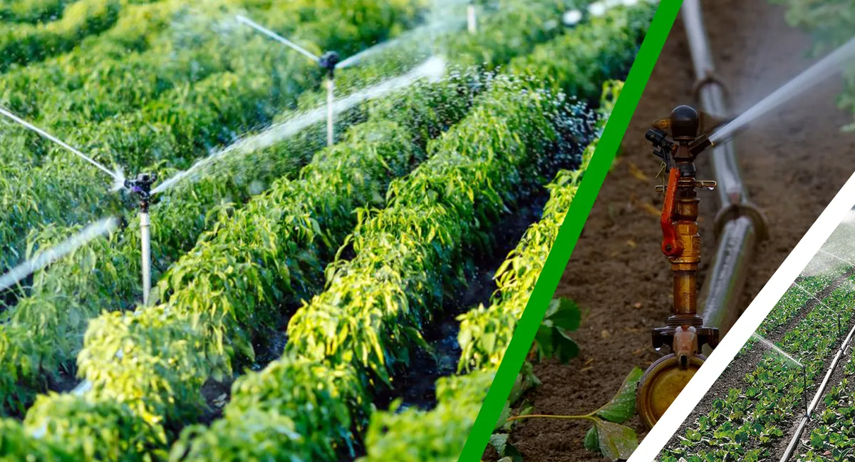 Irrigation Services