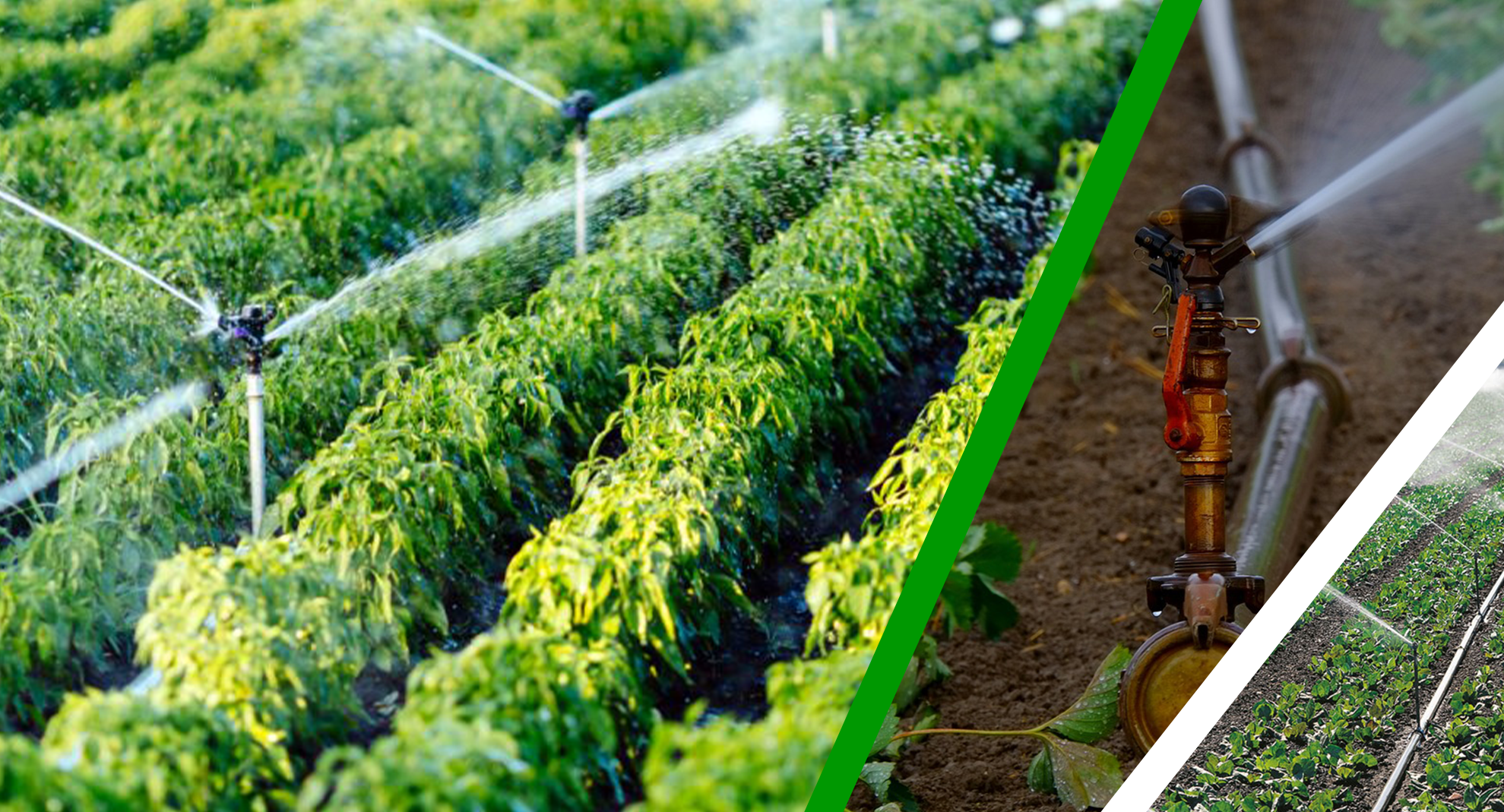 Agricultural Mechanization