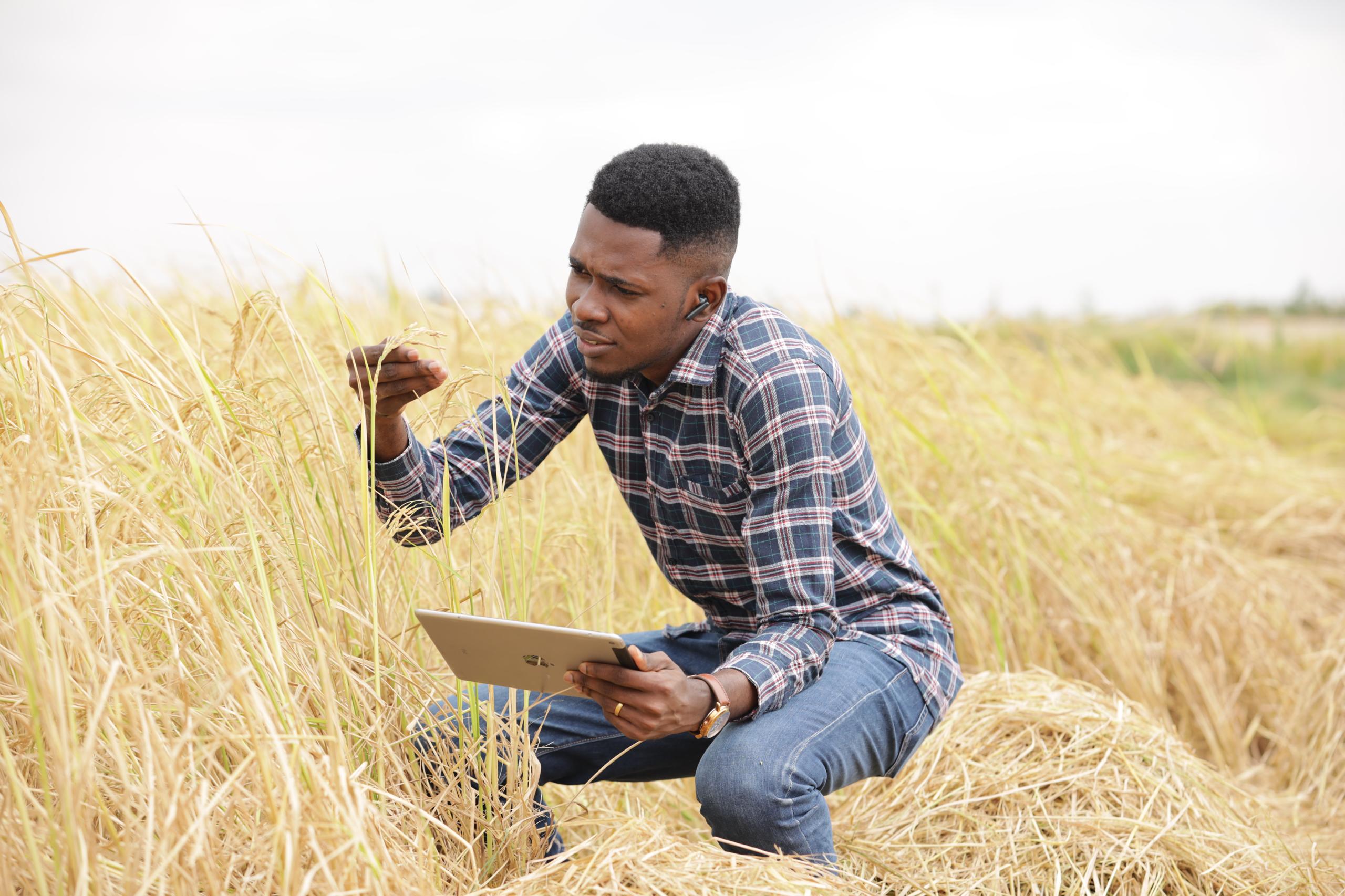 Agricultural Mechanization